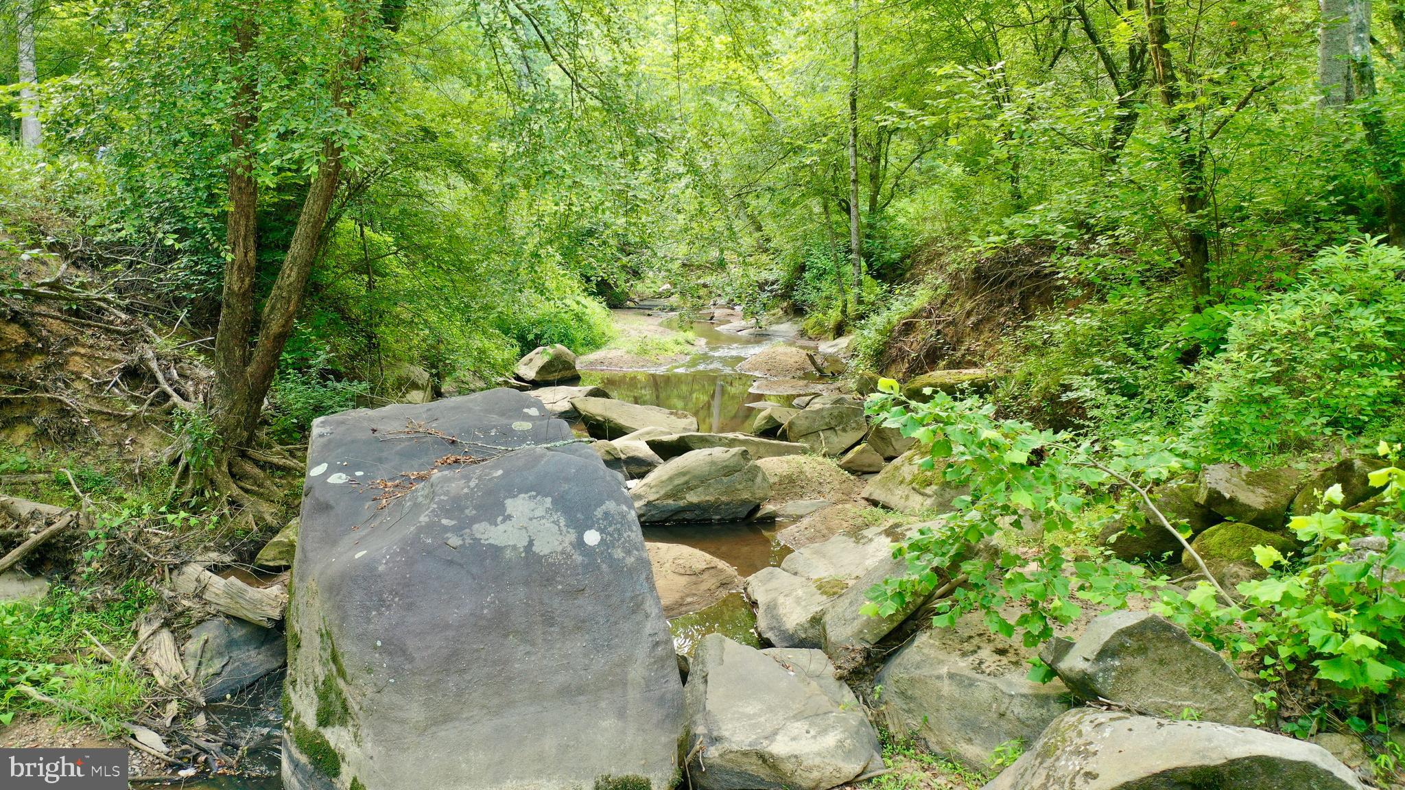 20335 Camp Road Culpeper, VA 22701 - Photo 49 of 70