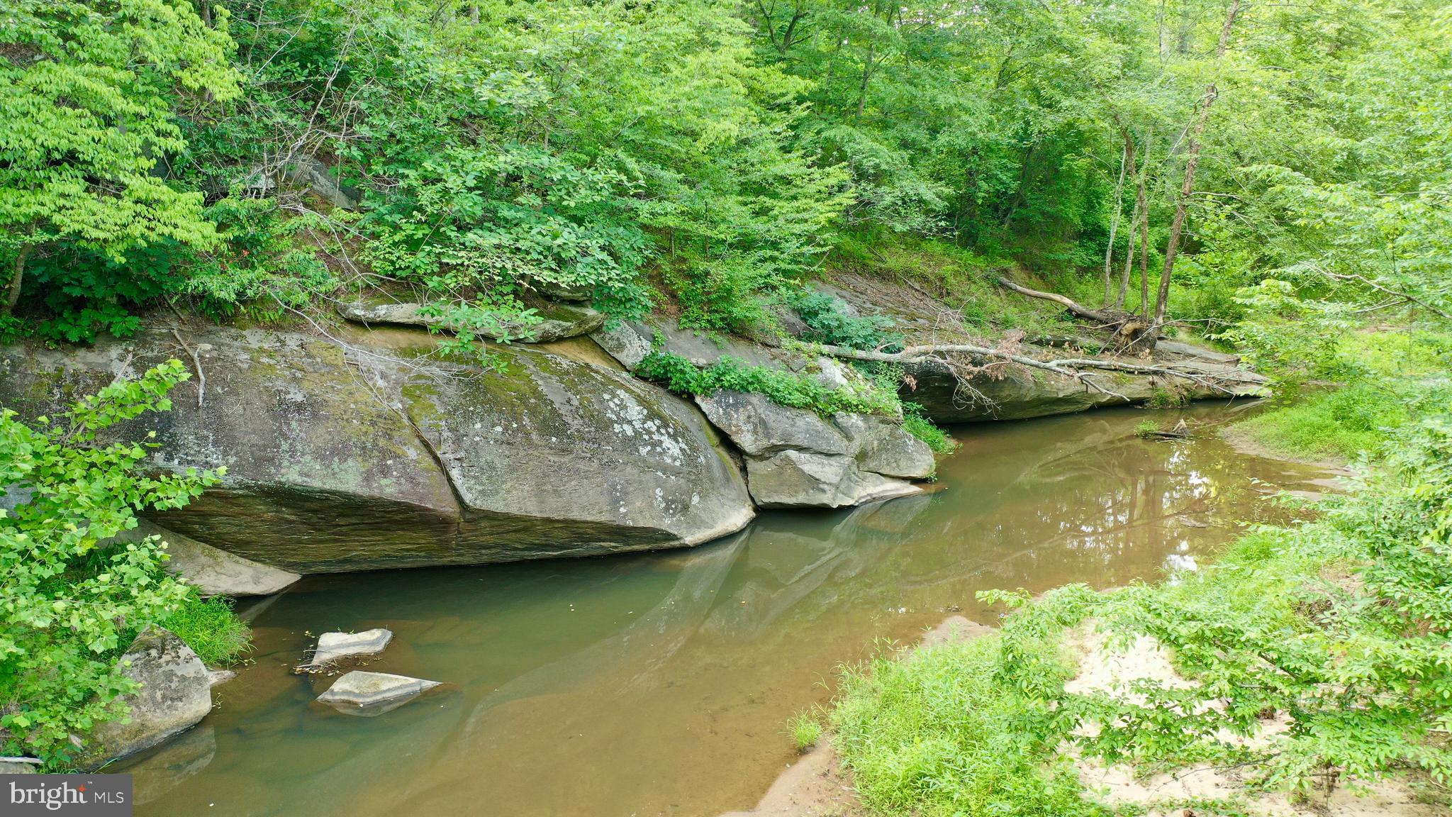 20335 Camp Road Culpeper, VA 22701 - Photo 50 of 70