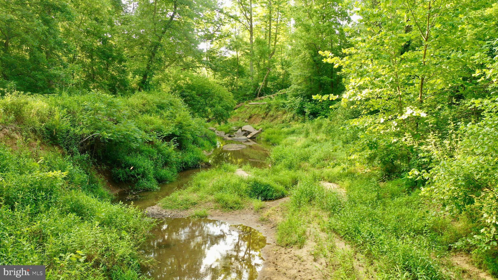 20335 Camp Road Culpeper, VA 22701 - Photo 53 of 70