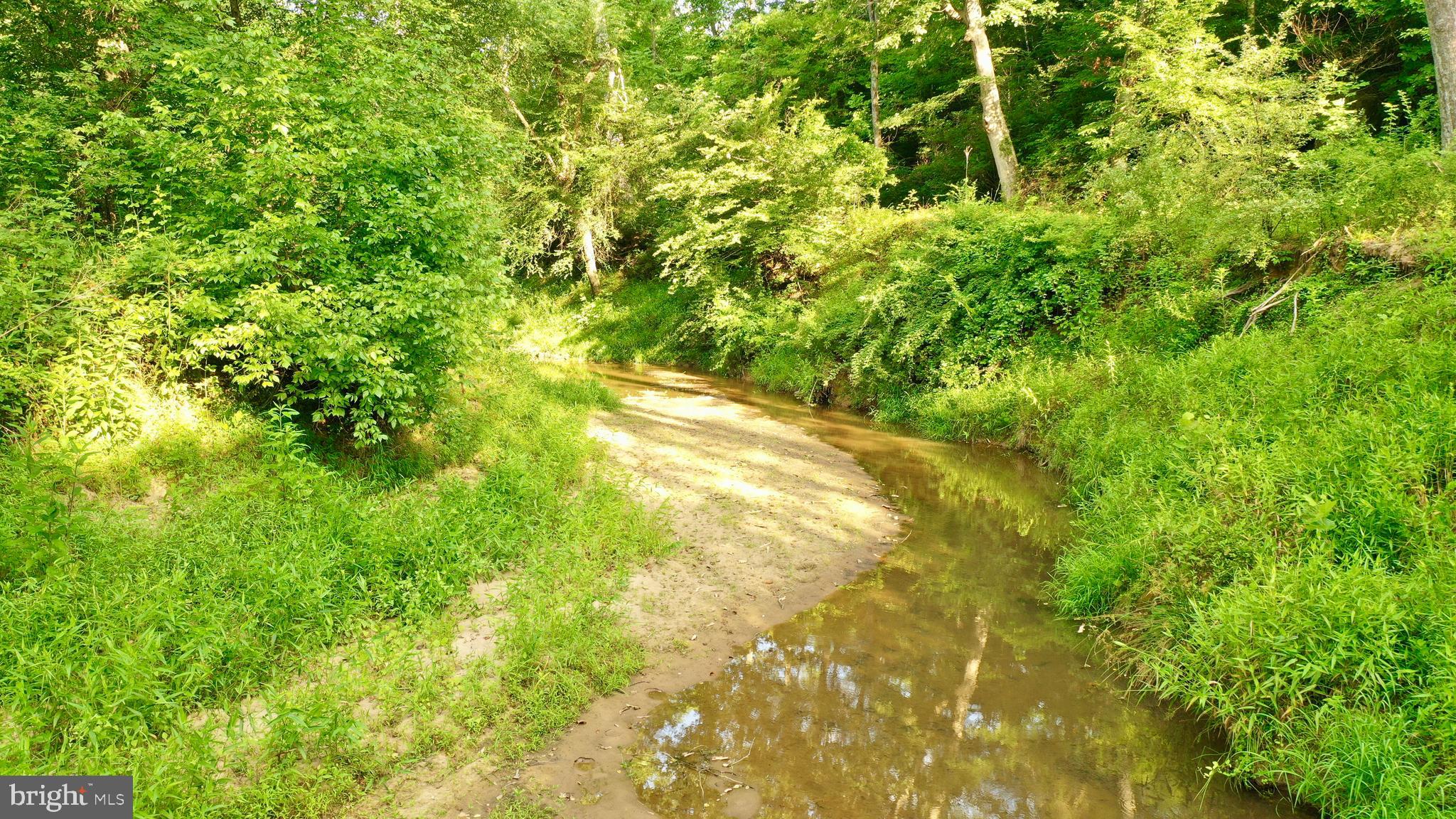 20335 Camp Road Culpeper, VA 22701 - Photo 54 of 70