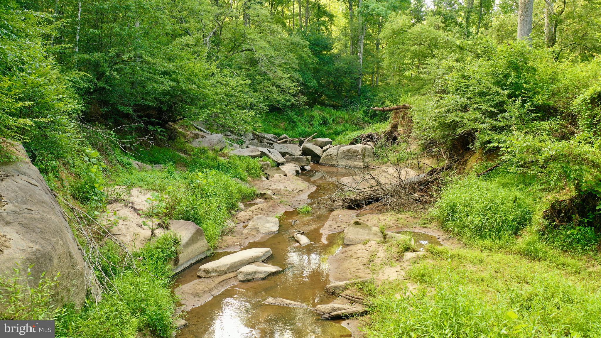 20335 Camp Road Culpeper, VA 22701 - Photo 55 of 70