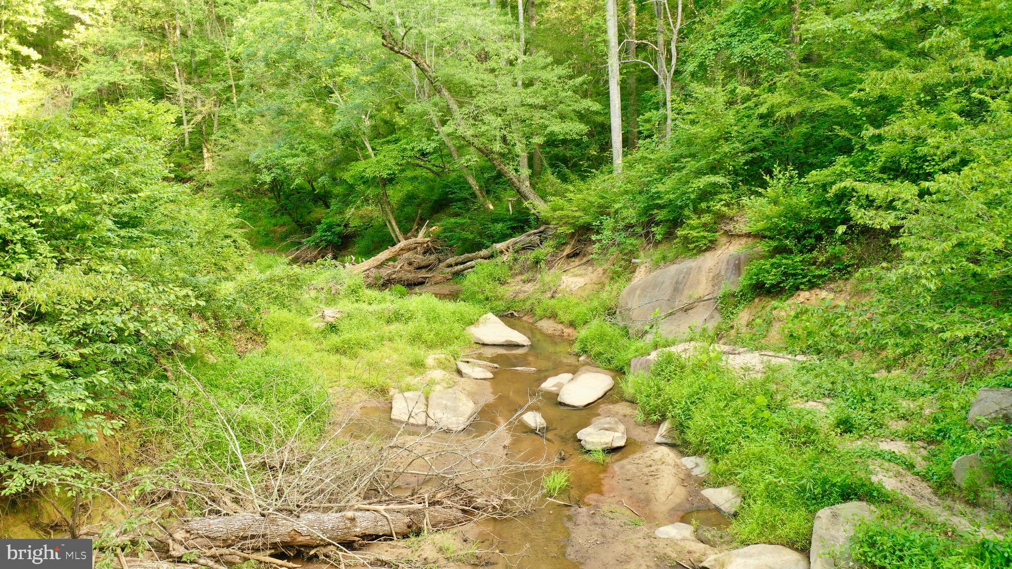 20335 Camp Road Culpeper, VA 22701 - Photo 56 of 70