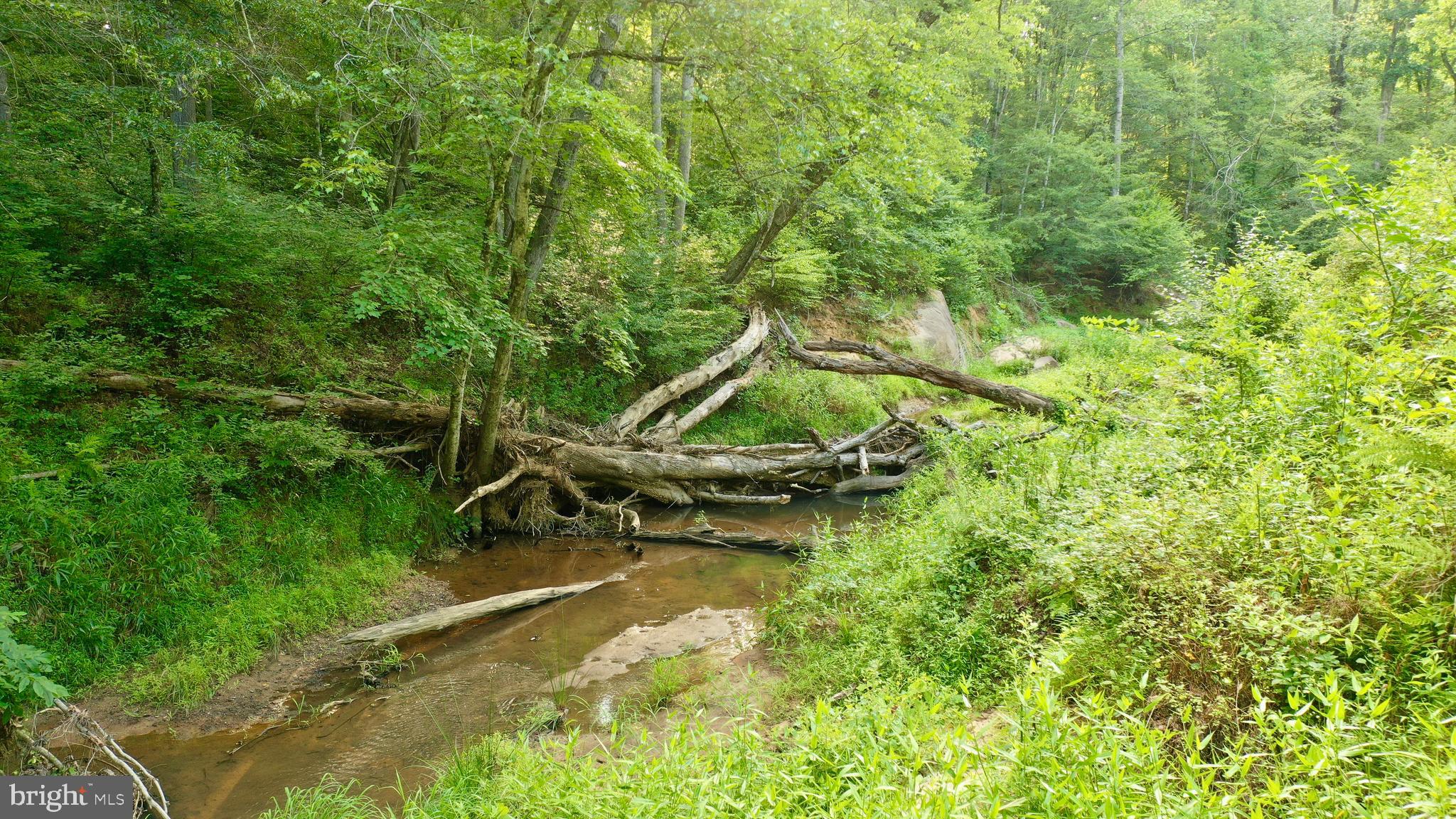 20335 Camp Road Culpeper, VA 22701 - Photo 58 of 70