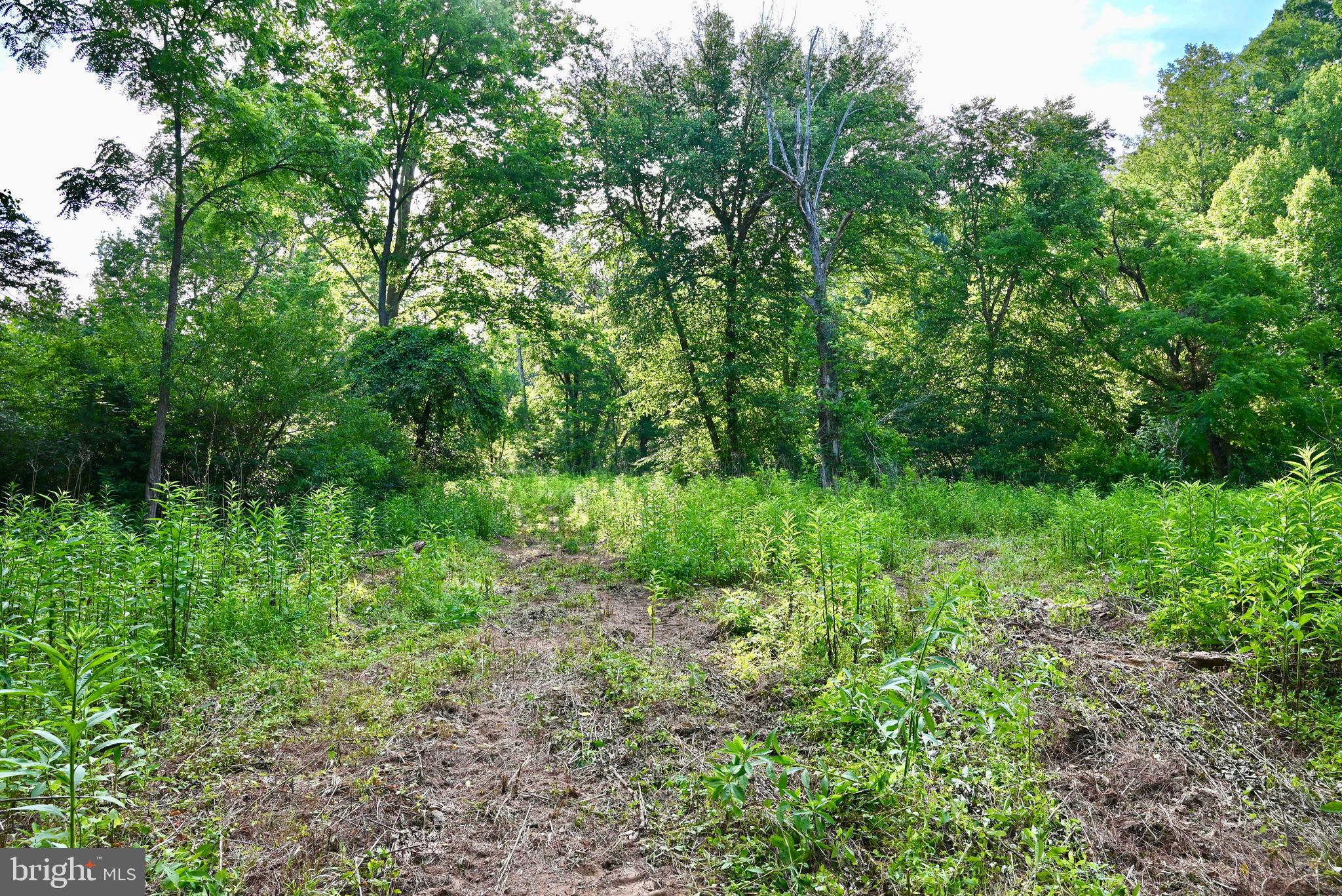 20335 Camp Road Culpeper, VA 22701 - Photo 60 of 70