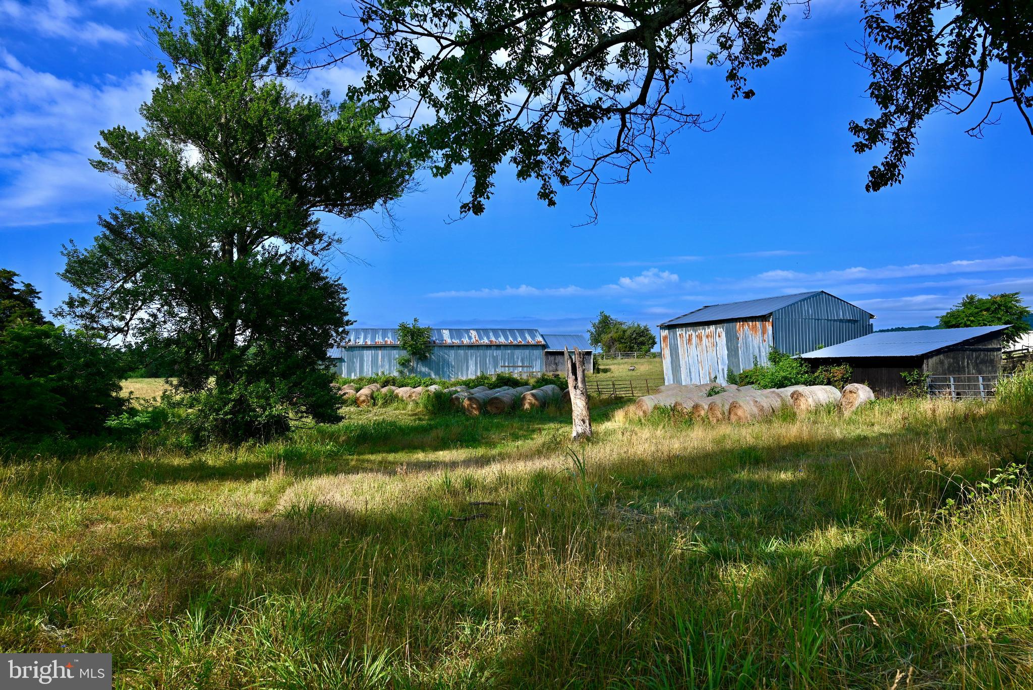 20335 Camp Road Culpeper, VA 22701 - Photo 61 of 70