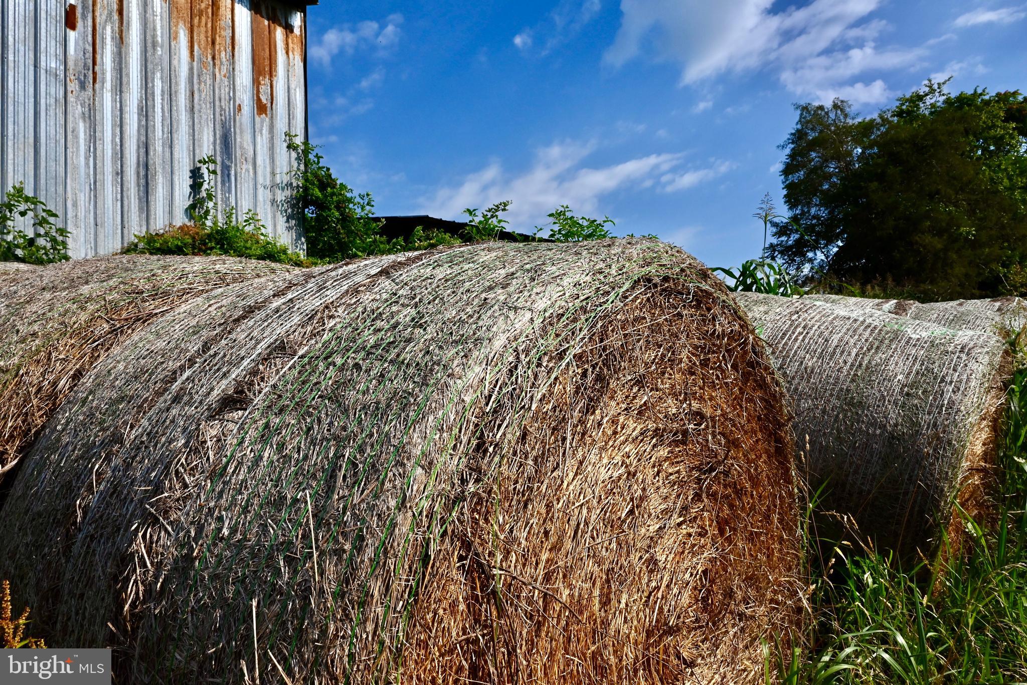 20335 Camp Road Culpeper, VA 22701 - Photo 62 of 70