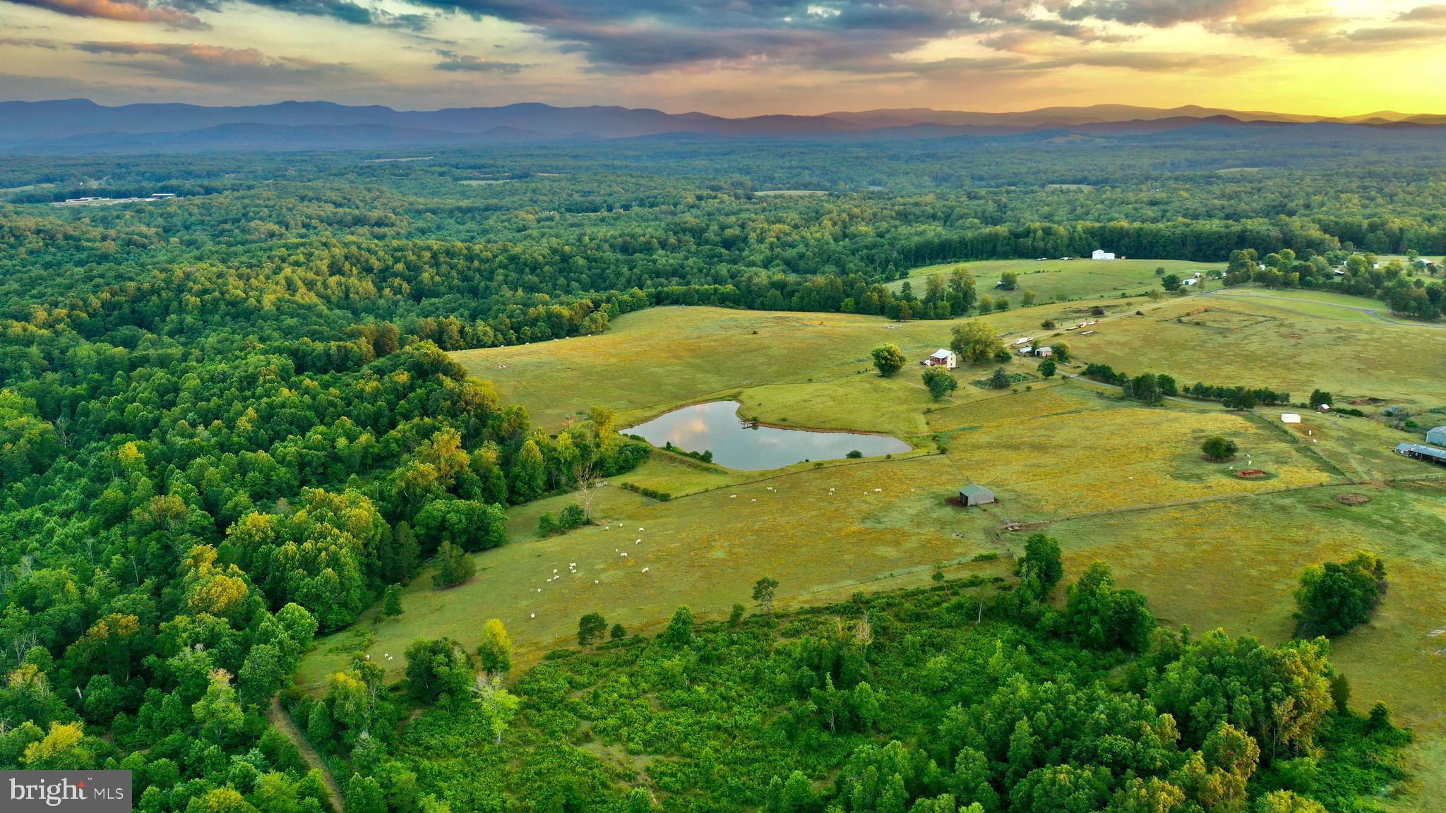 20335 Camp Road Culpeper, VA 22701 - Photo 10 of 70