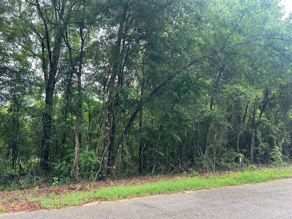 0 Holmes Road Newton, AL 36352 - Photo 1 of 8