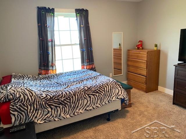 9676 Bender Road Frankenmuth, MI 48734 - Photo 8 of 9 50013437-7.JPG