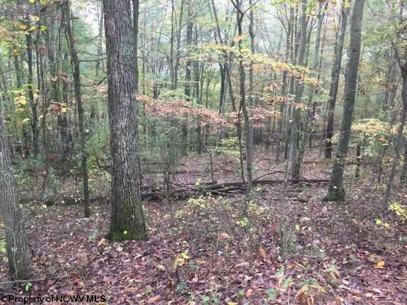 0 Ramsey Ridge Road Pennsboro, WV 26415 - Photo 2 of 4 Gallery Image 2