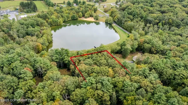 a view of a yard with plants