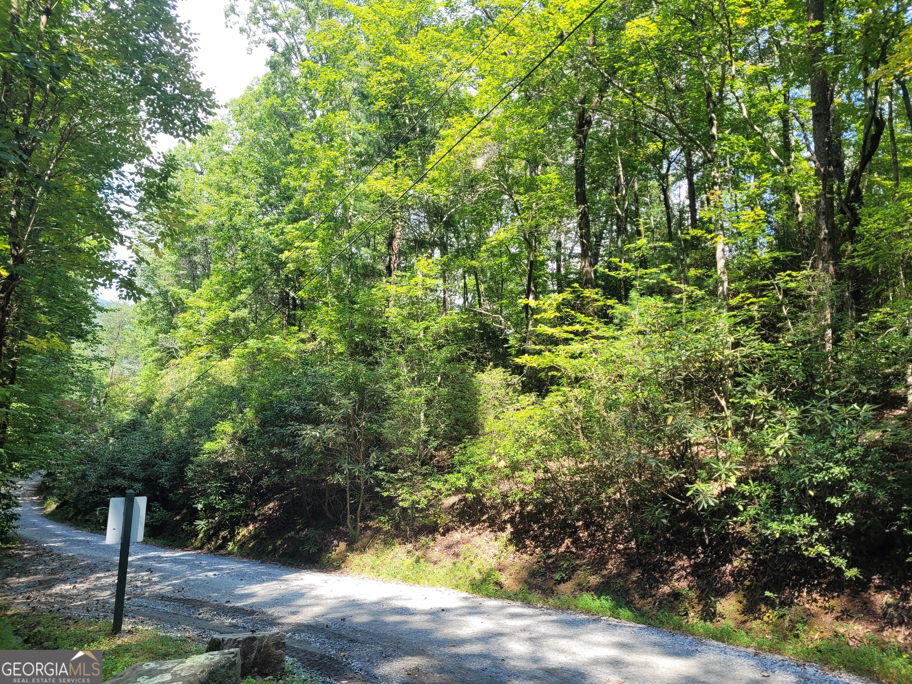 Lot 6 Miners Mountain Road Sautee Nacoochee, GA 30571 - Photo 13 of 16