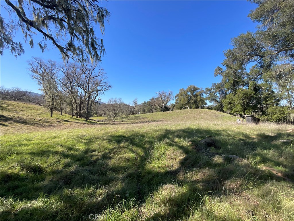 49253 Sapaque Road Bradley, CA 93426 - Photo 11 of 17 a view of yard with green space