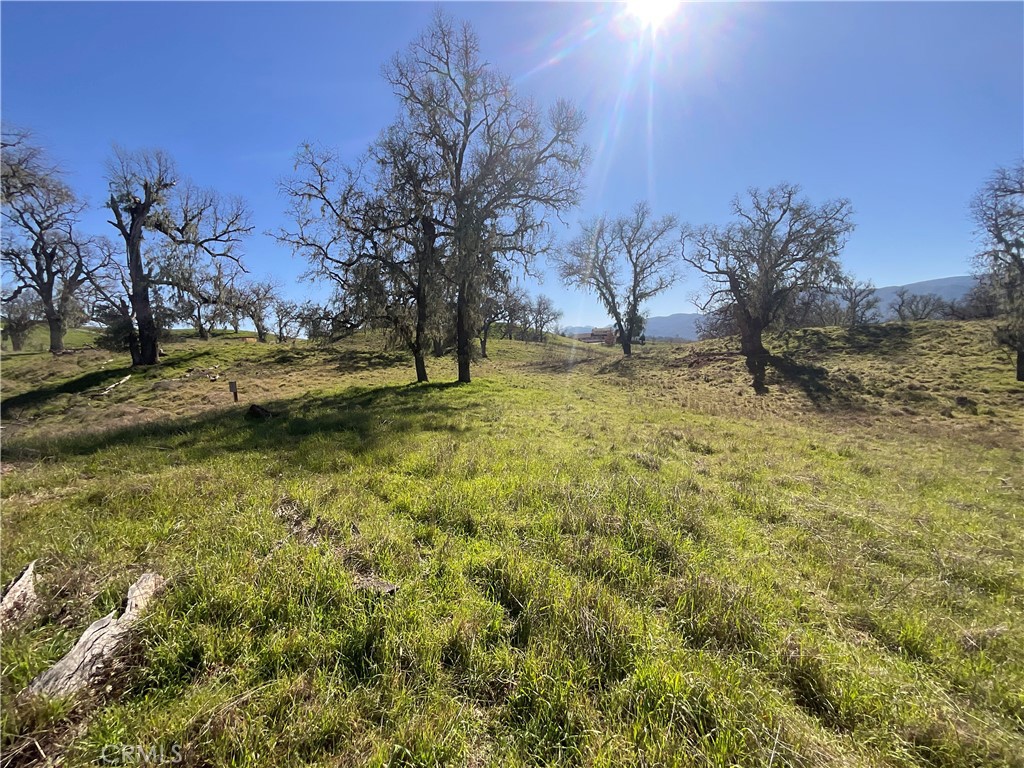 49253 Sapaque Road Bradley, CA 93426 - Photo 12 of 17 a view of yard with trees