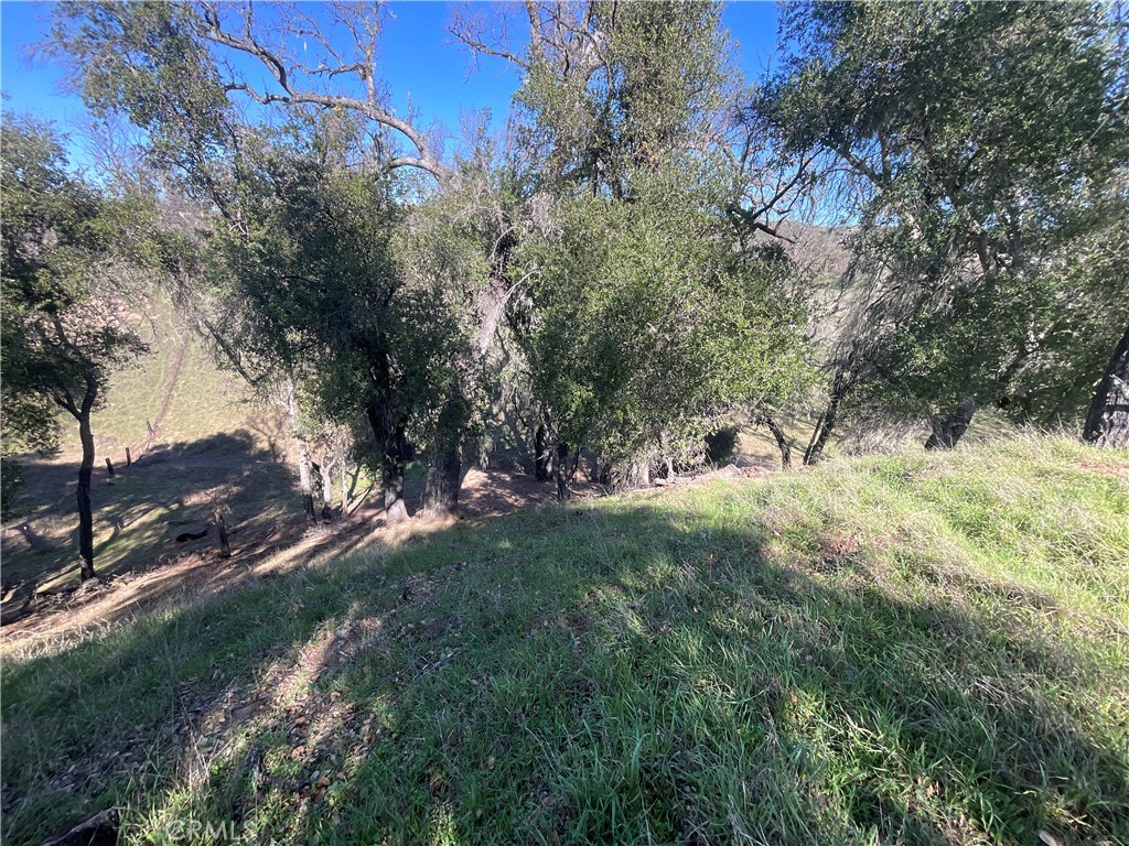 49253 Sapaque Road Bradley, CA 93426 - Photo 14 of 17 a view of a yard with a tree