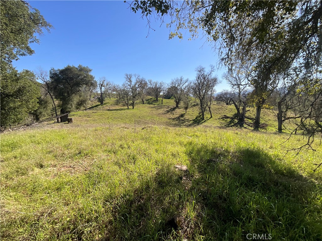 49253 Sapaque Road Bradley, CA 93426 - Photo 16 of 17 a view of yard with large trees