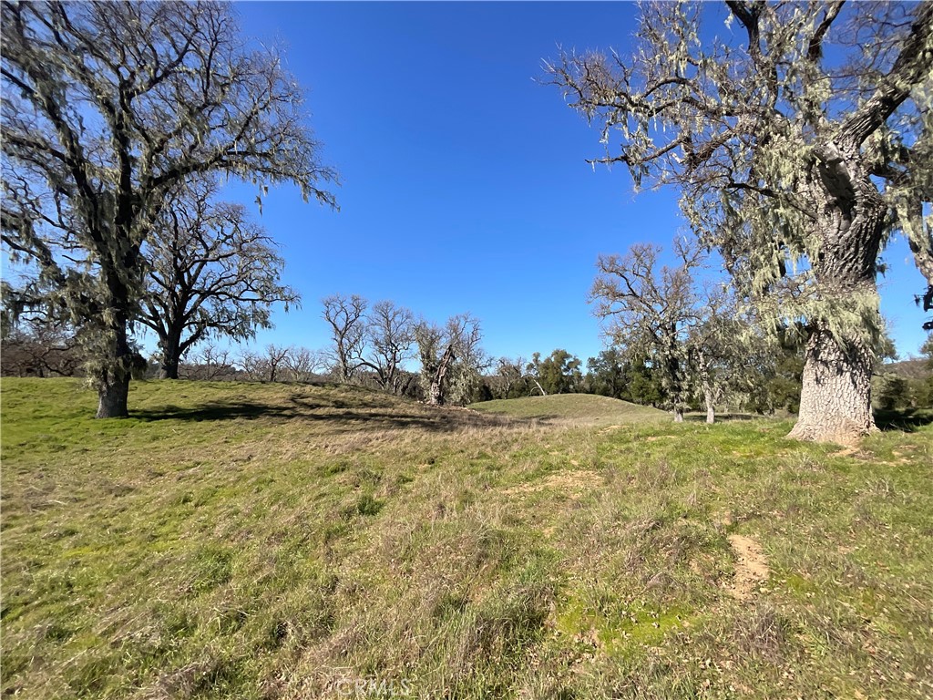 49253 Sapaque Road Bradley, CA 93426 - Photo 2 of 17 a view of yard with trees
