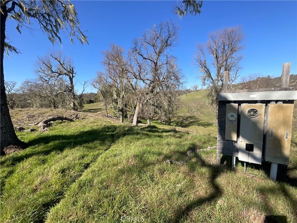 49253 Sapaque Road Bradley, CA 93426 - Photo 5 of 17 a view of a backyard of the house