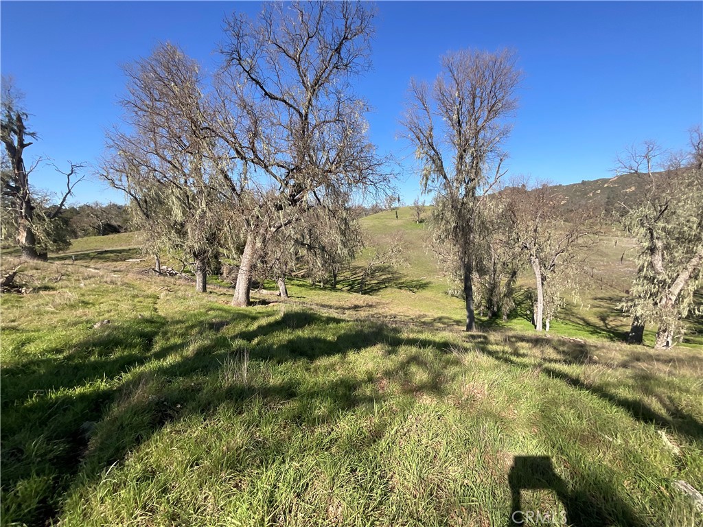 49253 Sapaque Road Bradley, CA 93426 - Photo 6 of 17 a view of yard with green space