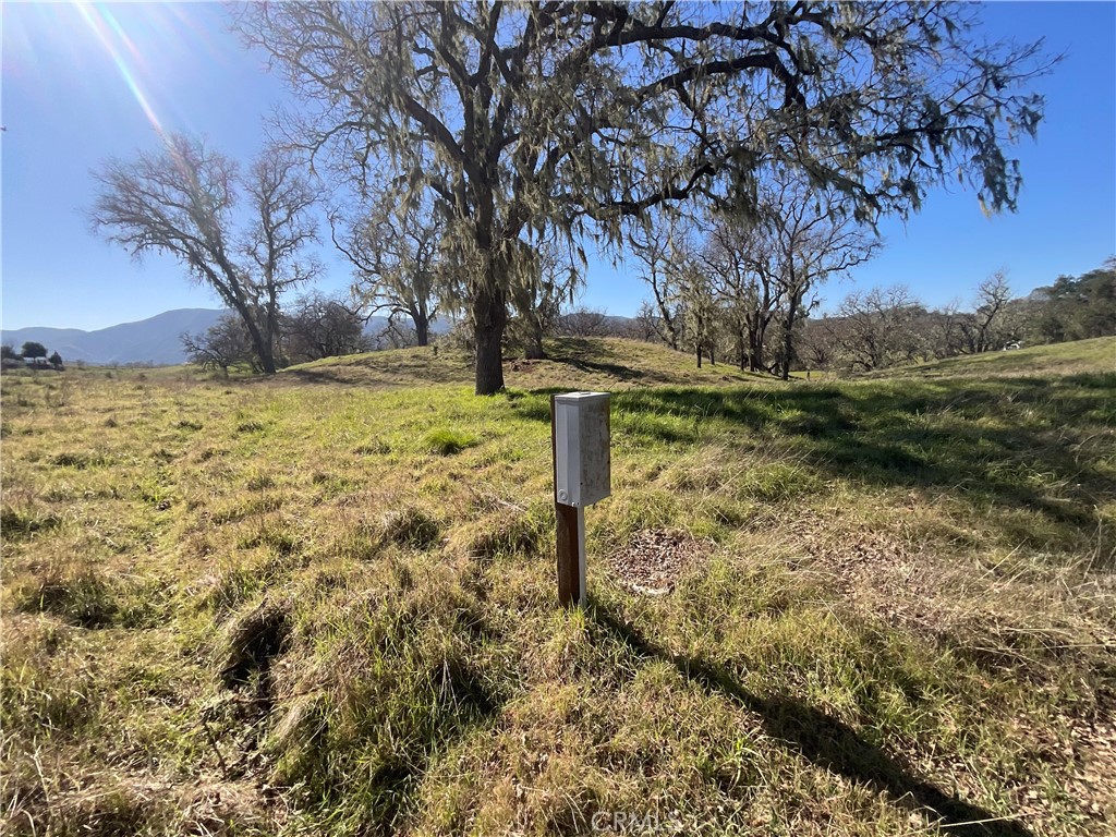 49253 Sapaque Road Bradley, CA 93426 - Photo 9 of 17 a view of yard with trees