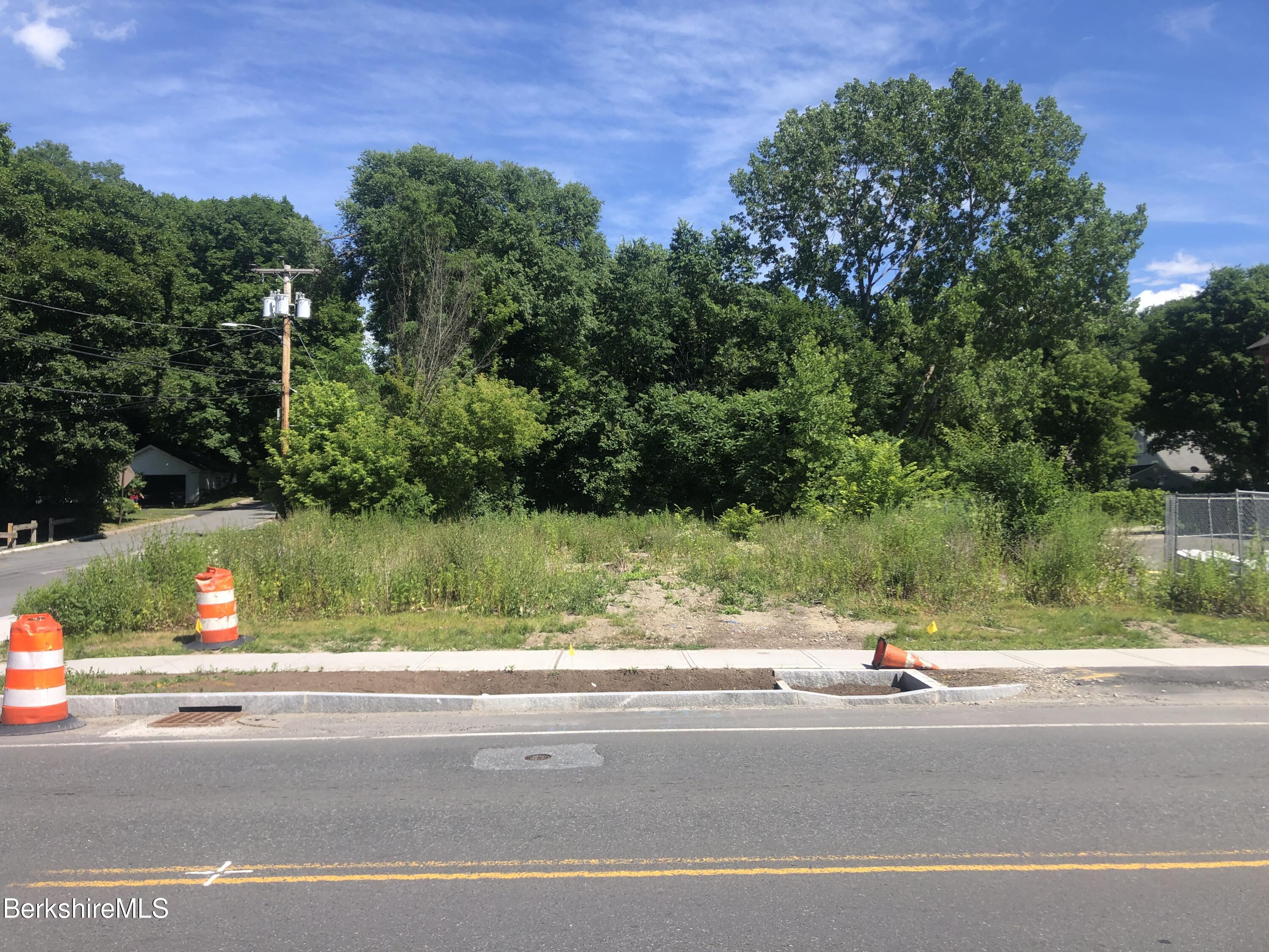50 Commercial Street Adams, MA 01220 - Photo 1 of 2 a view of a yard and car parked from a road