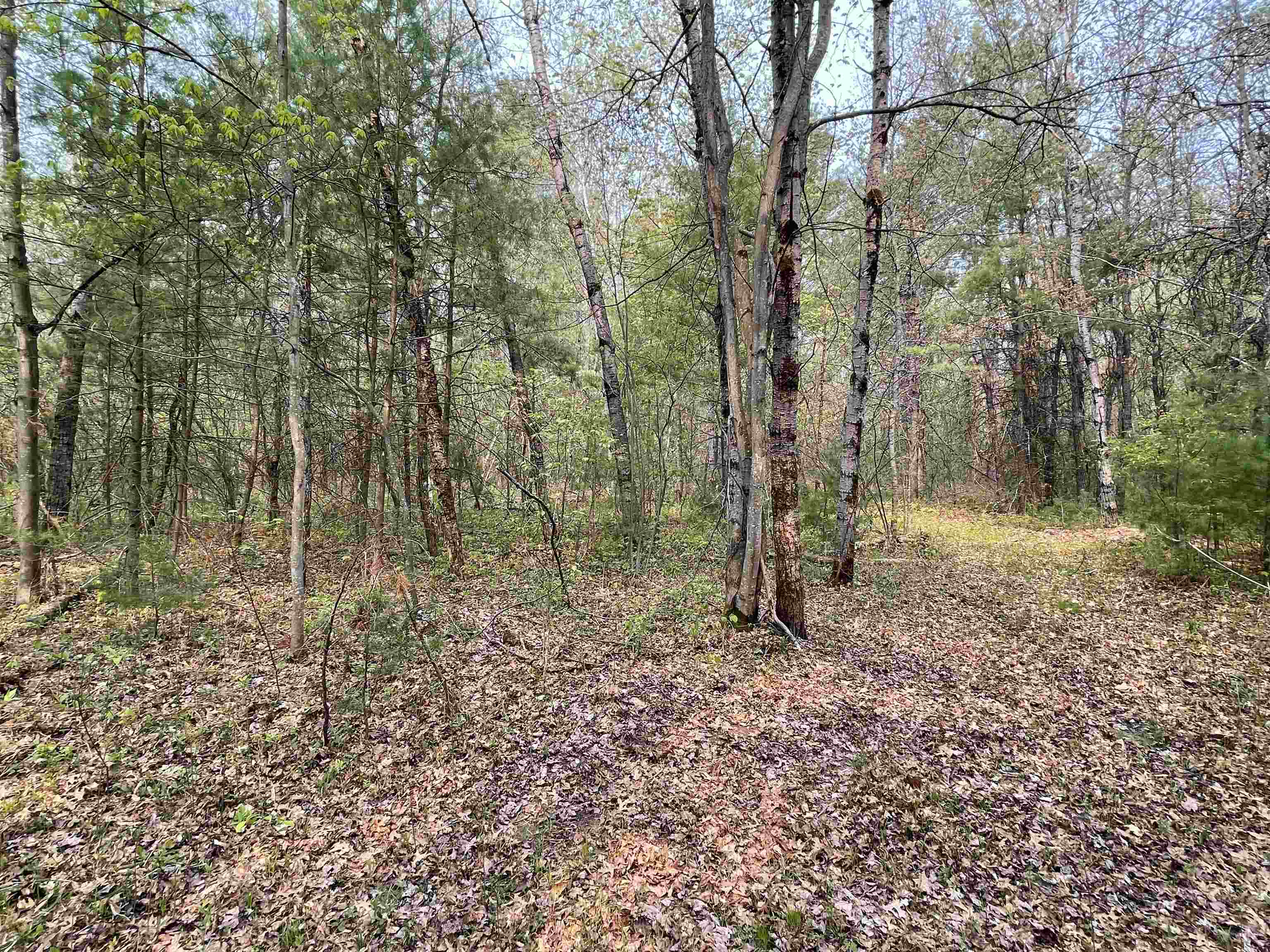8433 South Grayling Road Grayling, MI 49738 - Photo 16 of 21 Gallery Image 16