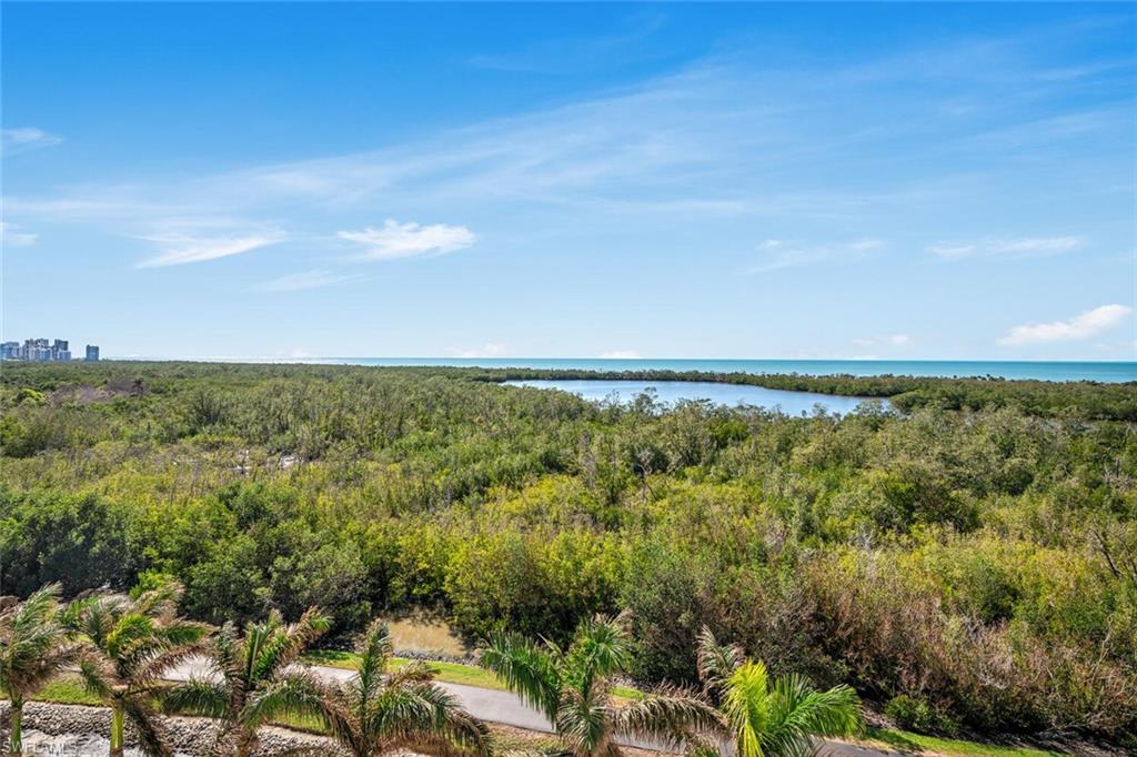 6849 Grenadier Boulevard, Unit 802 Naples, FL 34108 - Photo 16 of 19 Master Bedroom
