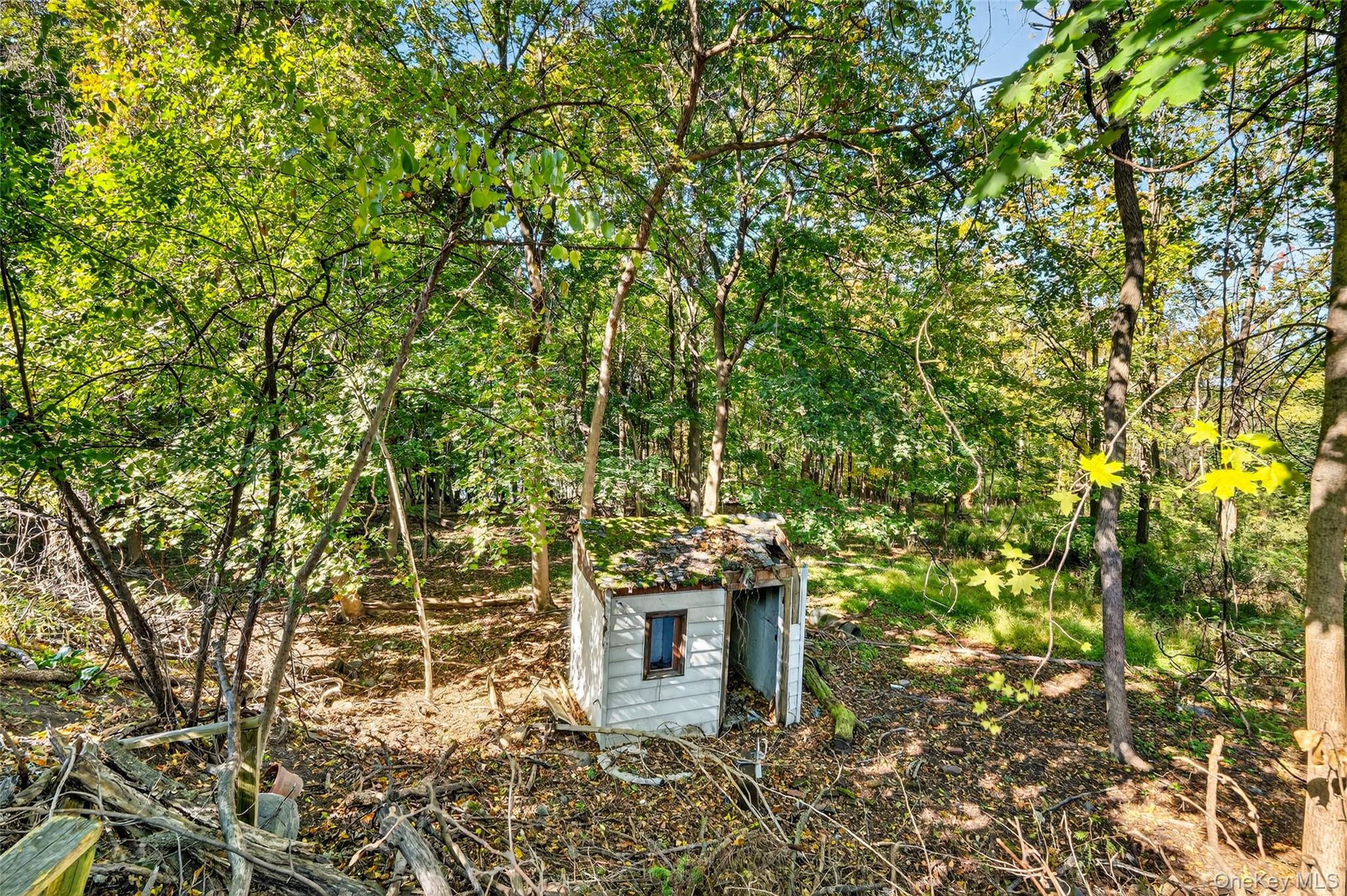 25 Russell Road Newburgh, NY 12550 - Photo 38 of 39 View of shed