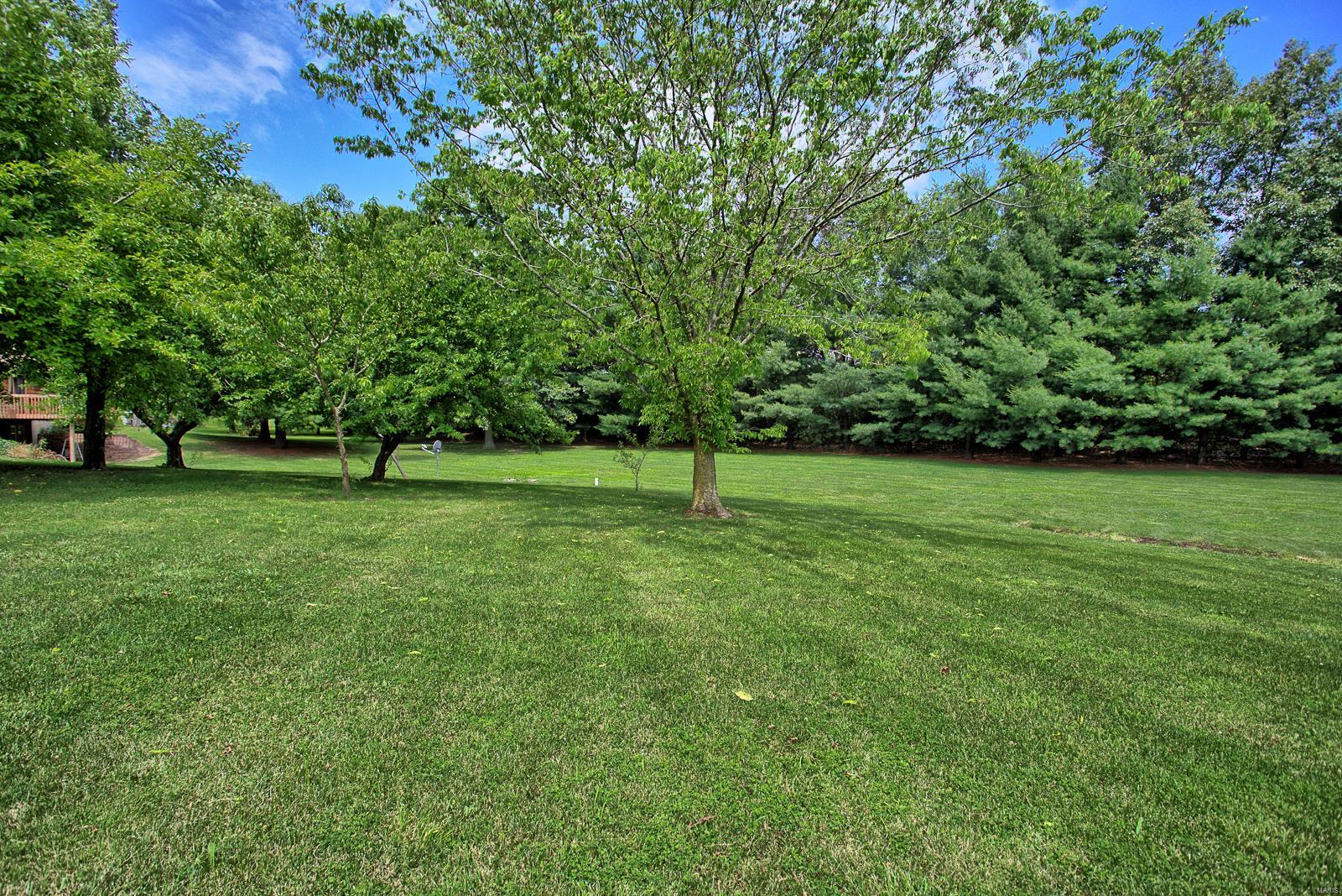 8537 East Kirsch Road Troy, IL 62294 - Photo 52 of 57