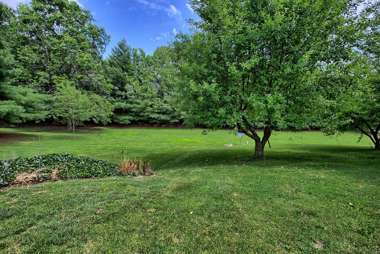 8537 East Kirsch Road Troy, IL 62294 - Photo 55 of 57