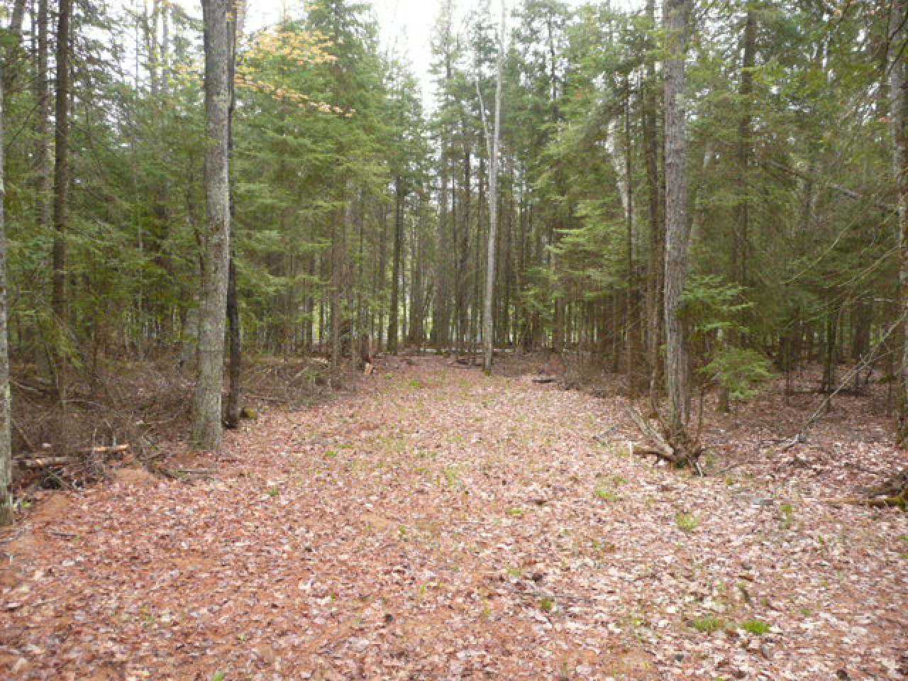 On Herdner Road Eagle River, WI 54521 - Photo 3 of 20 Gallery Image 3