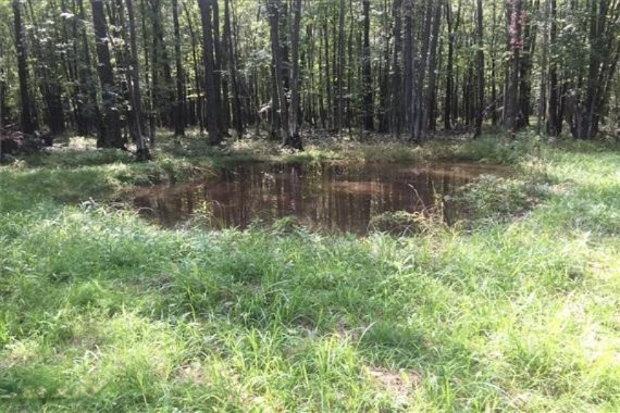 Tonkey Road Au Gres, MI 48703 - Photo 2 of 6 2 Seasonal Pond-WR