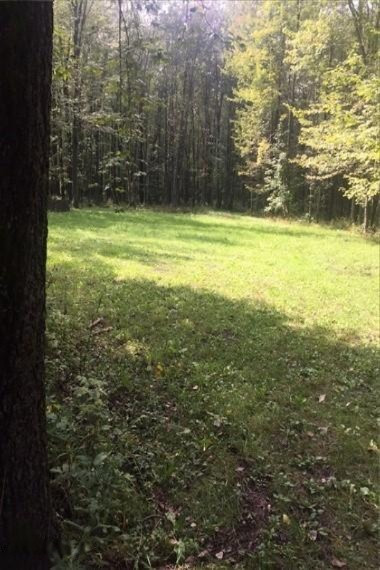 Tonkey Road Au Gres, MI 48703 - Photo 3 of 6 3 Field-WR