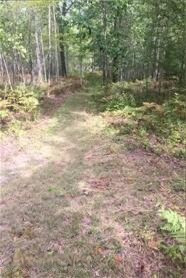 Tonkey Road Au Gres, MI 48703 - Photo 5 of 6 5 Trail-RMLS