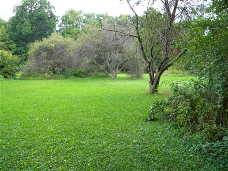 14554 Buss Road Manchester, MI 48158 - Photo 3 of 8 Photo 3