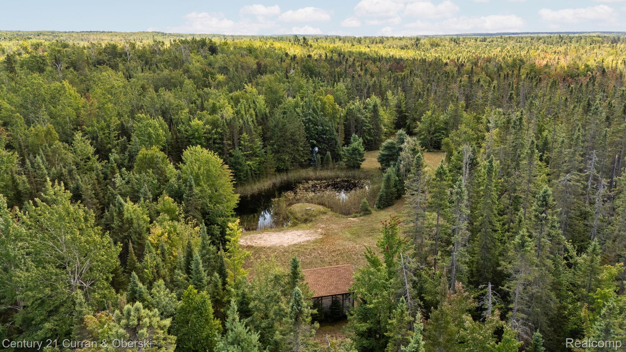 3265 Roost Road Onaway, MI 49765 - Photo 42 of 52 72-web-or-mls-DJI_20250829124904_0061_D_DJIJEL.jpg