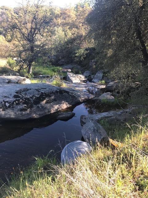 0 Wise Road Coarsegold, CA 93614 - Photo 1 of 12 Gallery Image 1