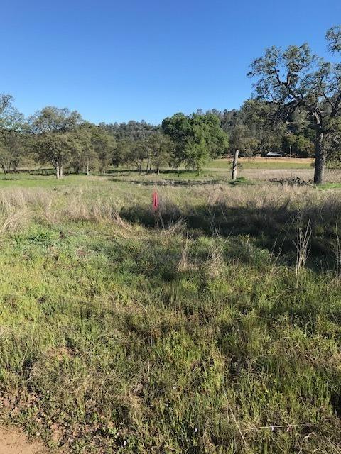 0 Wise Road Coarsegold, CA 93614 - Photo 11 of 12 Gallery Image 11