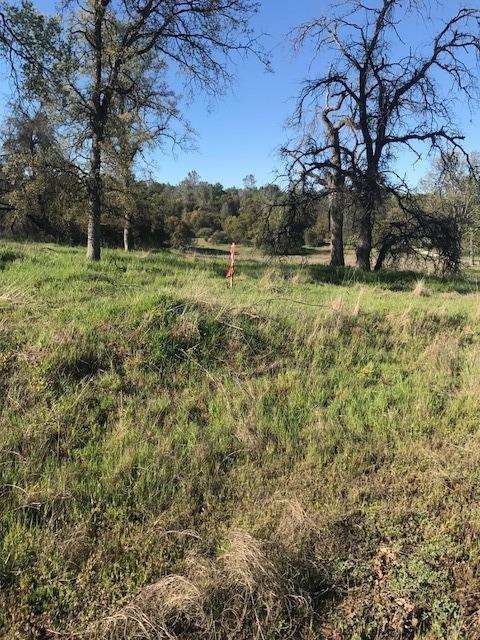 0 Wise Road Coarsegold, CA 93614 - Photo 12 of 12 Gallery Image 12