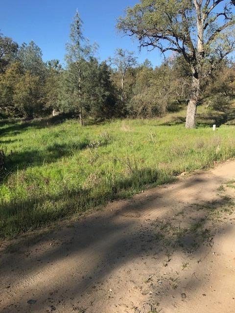 0 Wise Road Coarsegold, CA 93614 - Photo 3 of 12 Gallery Image 3