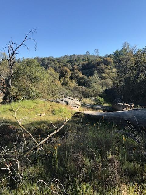 0 Wise Road Coarsegold, CA 93614 - Photo 4 of 12 Gallery Image 4