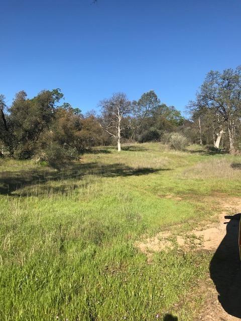 0 Wise Road Coarsegold, CA 93614 - Photo 5 of 12 Gallery Image 5