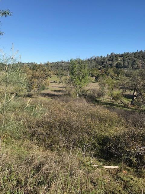 0 Wise Road Coarsegold, CA 93614 - Photo 6 of 12 Gallery Image 6