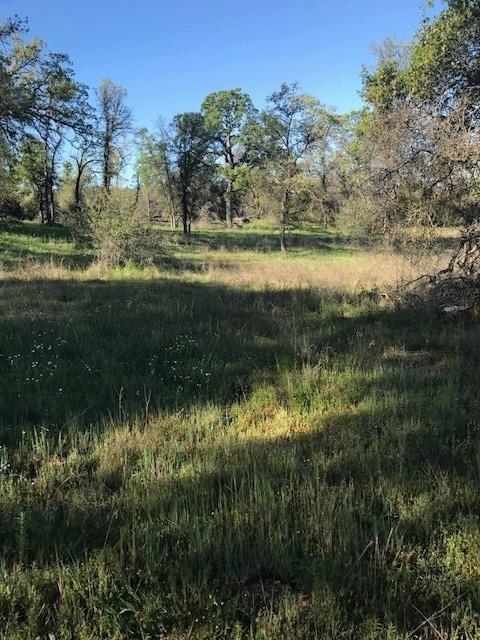 0 Wise Road Coarsegold, CA 93614 - Photo 8 of 12 Gallery Image 8