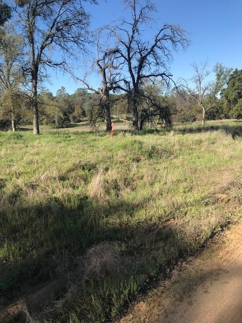 0 Wise Road Coarsegold, CA 93614 - Photo 10 of 12 Gallery Image 10