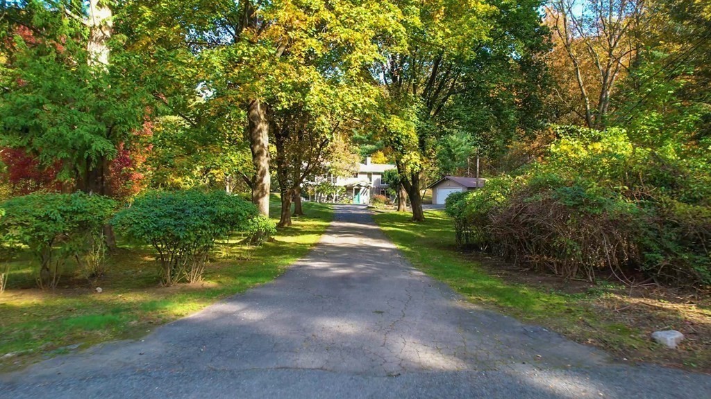 12 Ellis Road Weston, MA 02493 - Photo 33 of 42 a view of yard with green space