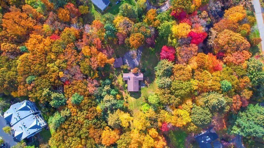 12 Ellis Road Weston, MA 02493 - Photo 39 of 42