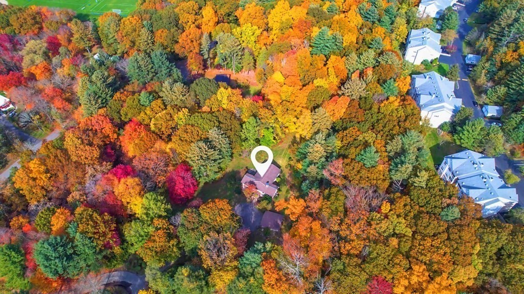 12 Ellis Road Weston, MA 02493 - Photo 40 of 42 a view of statue