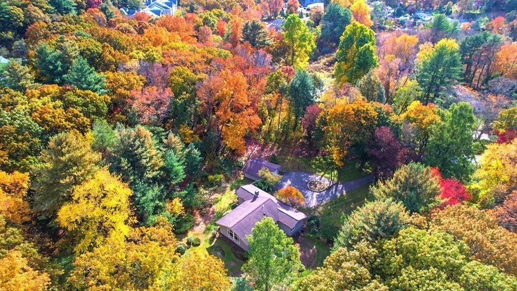 12 Ellis Road Weston, MA 02493 - Photo 41 of 42 view of outdoor