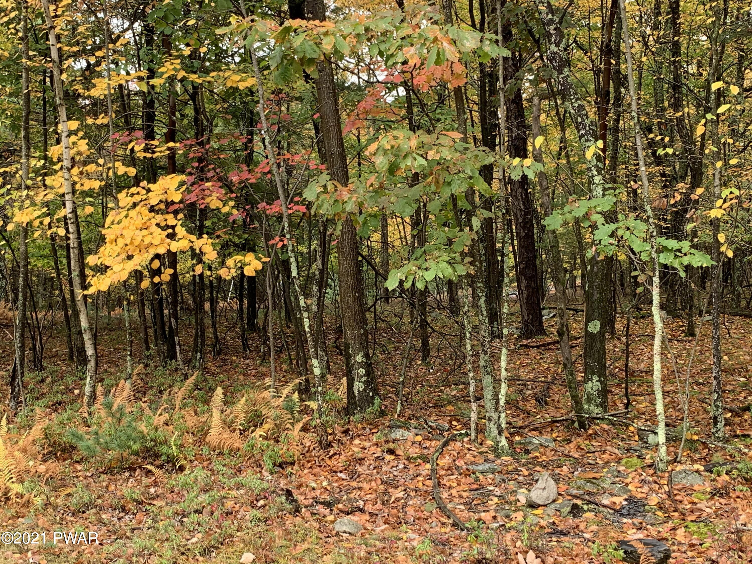 552 Caribou Road Dingmans Ferry, PA 18328 - Photo 1 of 4